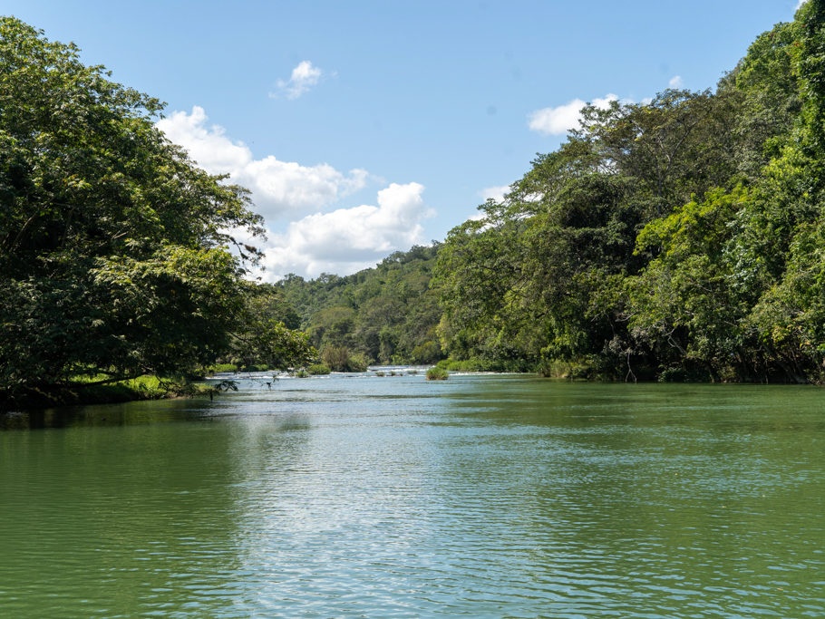 Blick von der Fähre auf den Fluss Mopan bevor es zu den Ruinen von Xunantunich geht