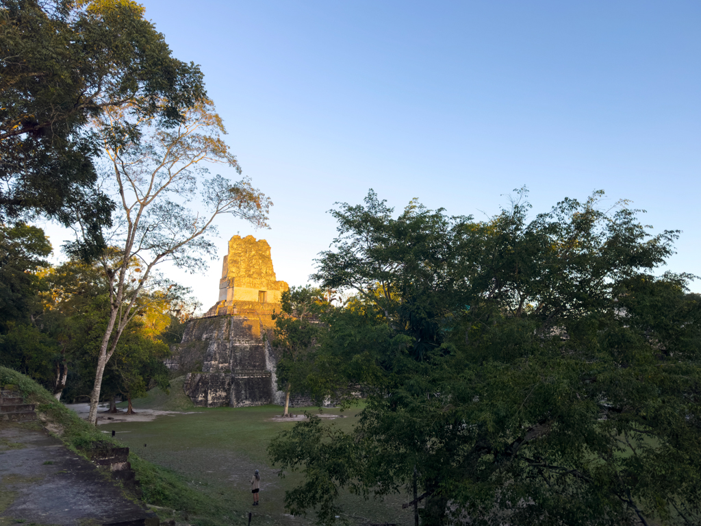 Gran Plaza in Tikal - Ma beobachtet die Vögel