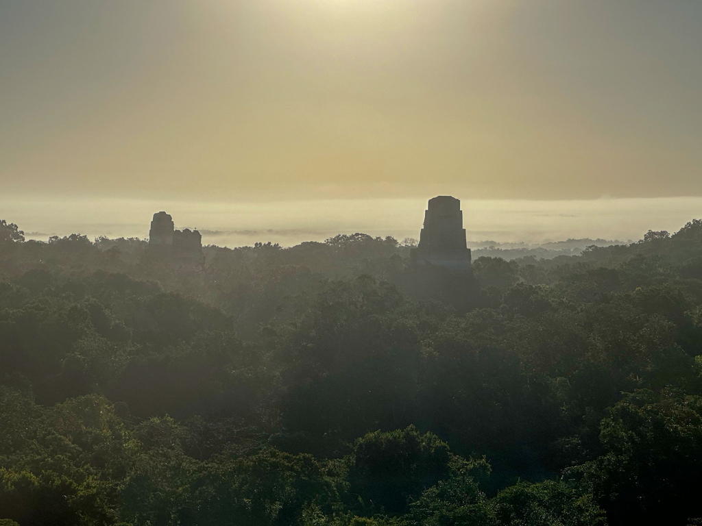 Tikal im Morgenlicht mit Nebelschwaden