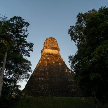 Tikal – einmalige Dschungelwildnis und Maya-Stätten