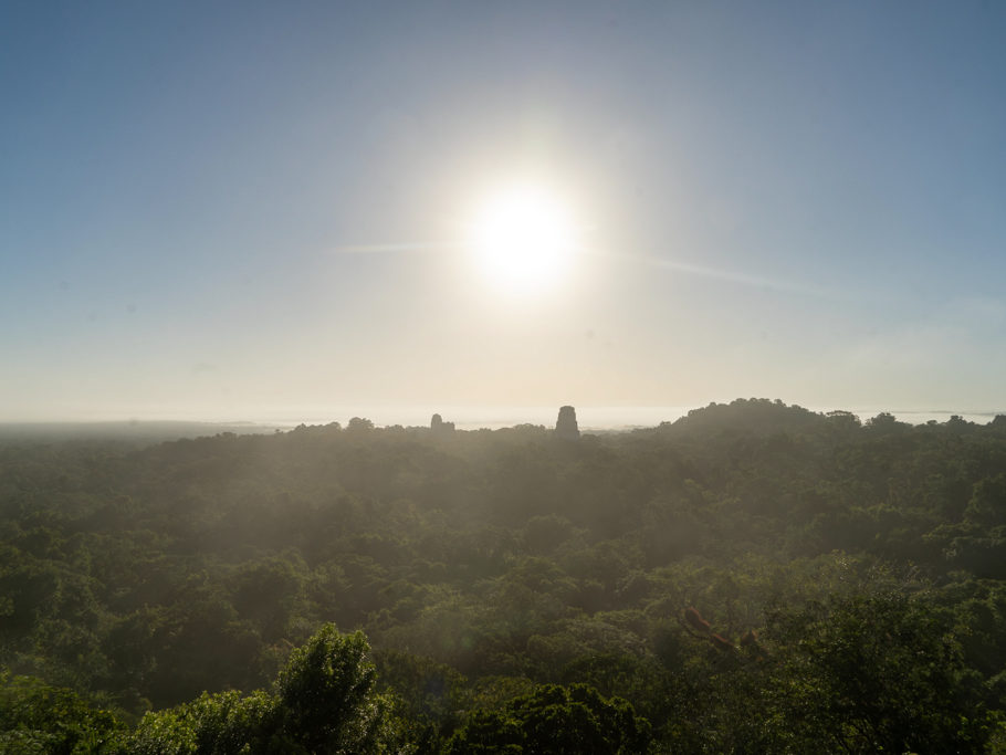 Tikal im Morgenlicht mit Nebelschwaden