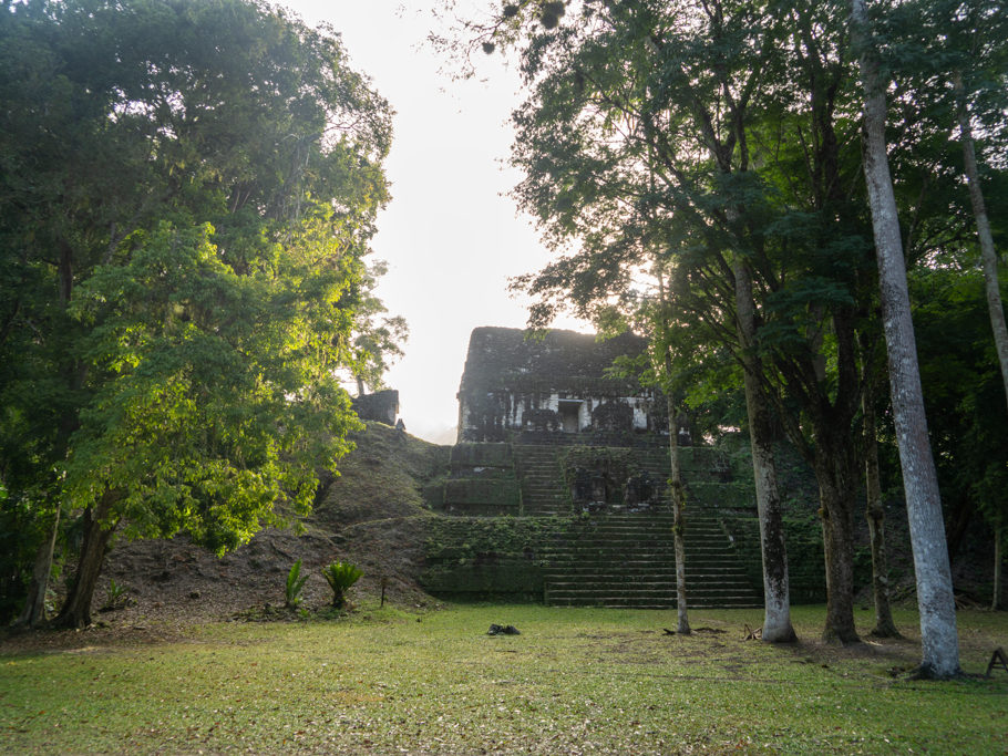 Ein Teil der lost world in Tikal