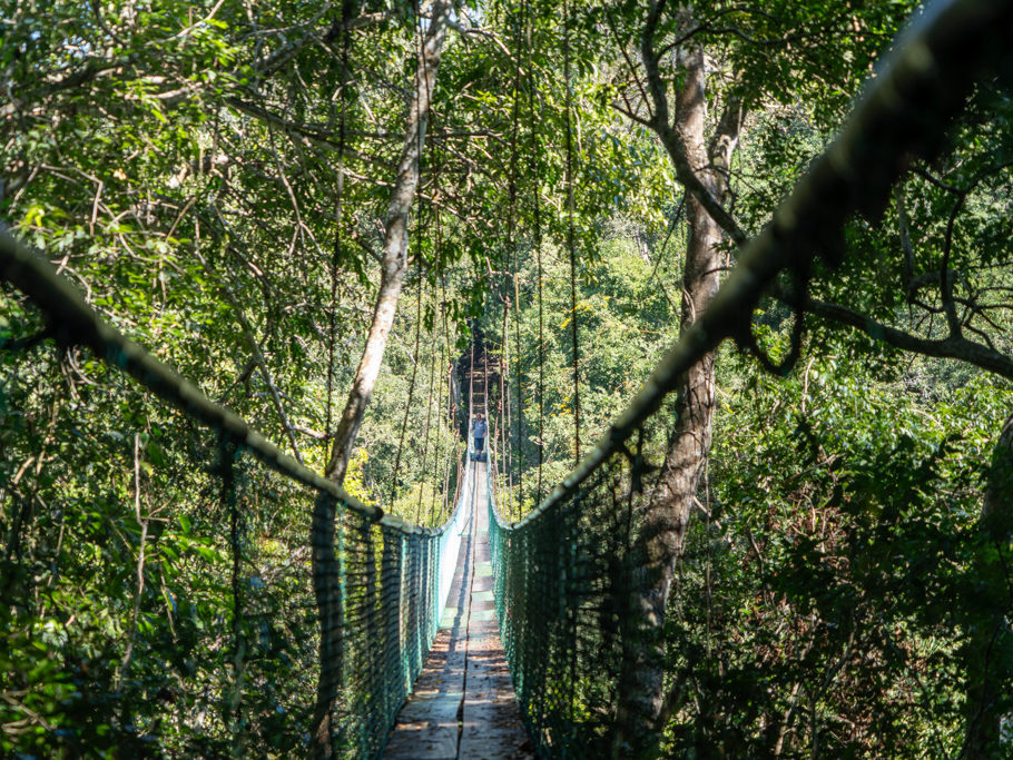 Mit Ma auf einer Hängebrücke auf dem Rundweg durch den Park