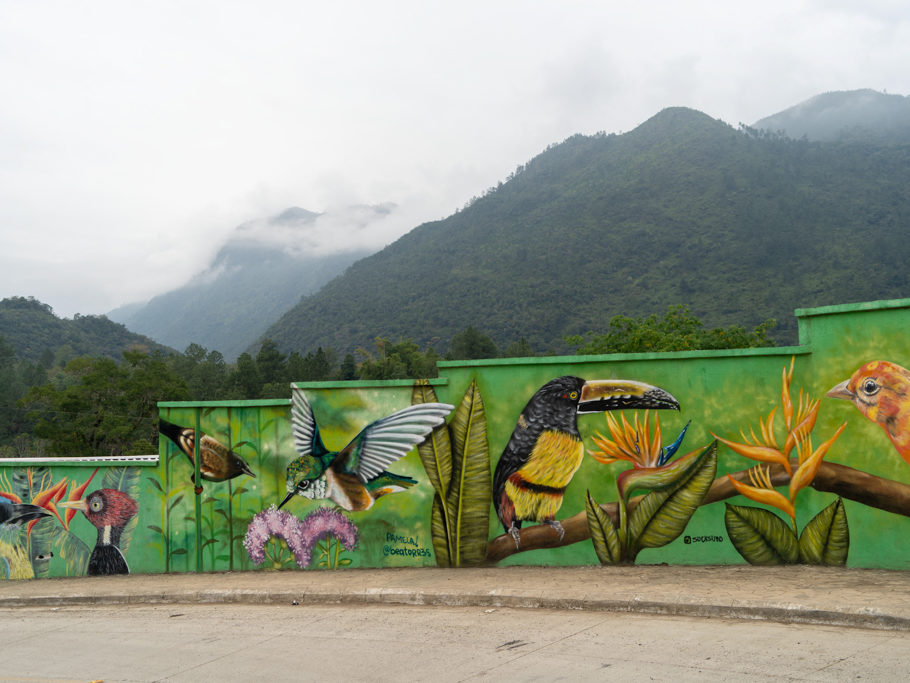 Bunt bemalte Wand mit den Vögeln der Natur hier um Coban herum