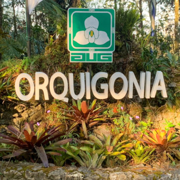 Orquigonia – einmaliges, beeindruckendes Biotop