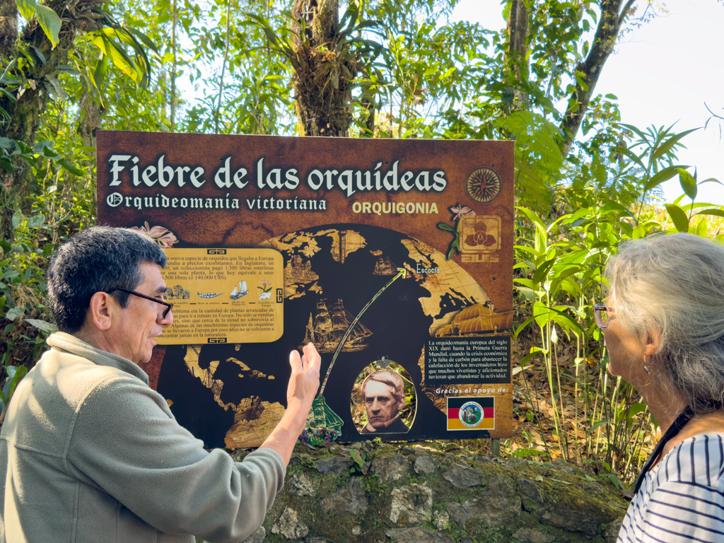 Franzisko erklärt JoMa anhand von Schautafeln dass auch die damalige Königin Victoria von England die Orchideen aus Guatemala zu schätzen wusste