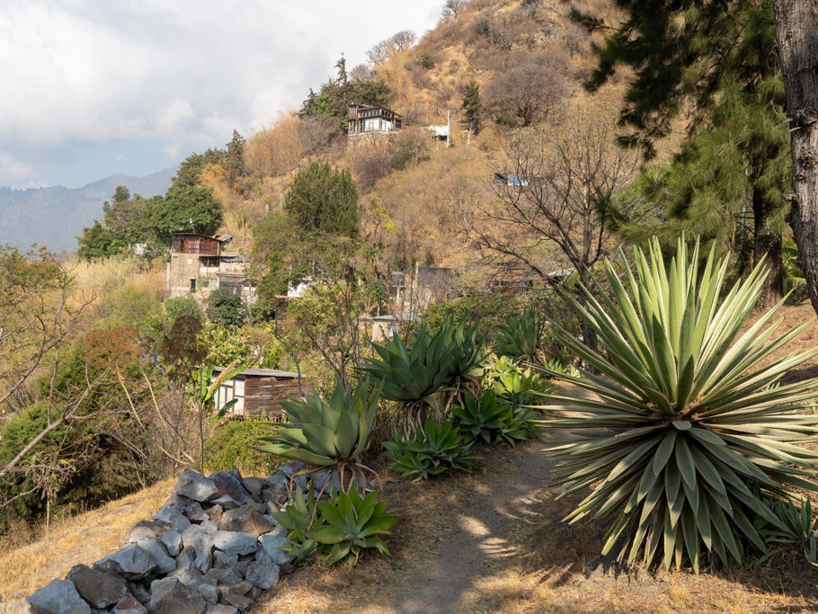 Aussicht entlang der Küste am Campground am Lake Atitlan