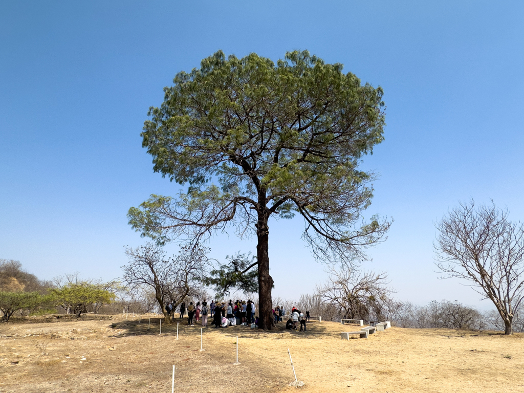 Die Besucher suchen immer wieder Schatten vor der gleissenden Sonne auf dem Monte Alban, Oaxaca