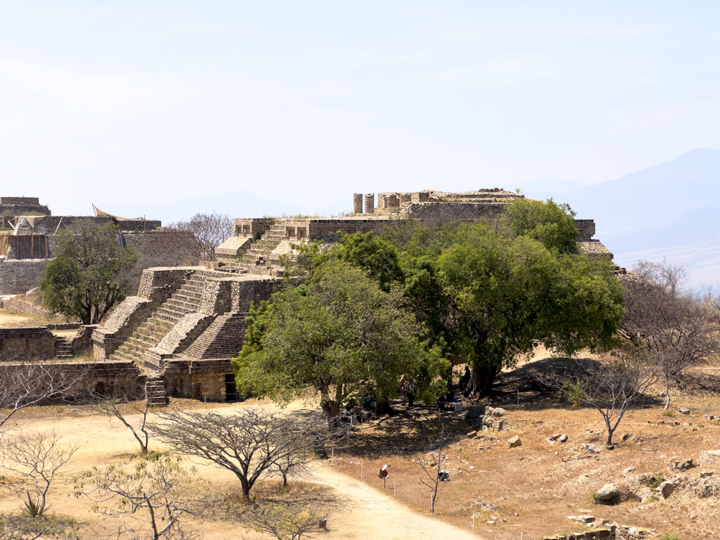 Monte Alban, Oaxaca