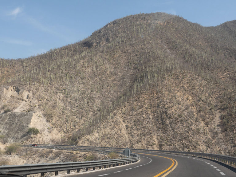 Unterwegs zwischen Oaxaca und Tehuacán; nach der letzten Steigung ändert die Vegetation schlagartig in Kakteenwälder!