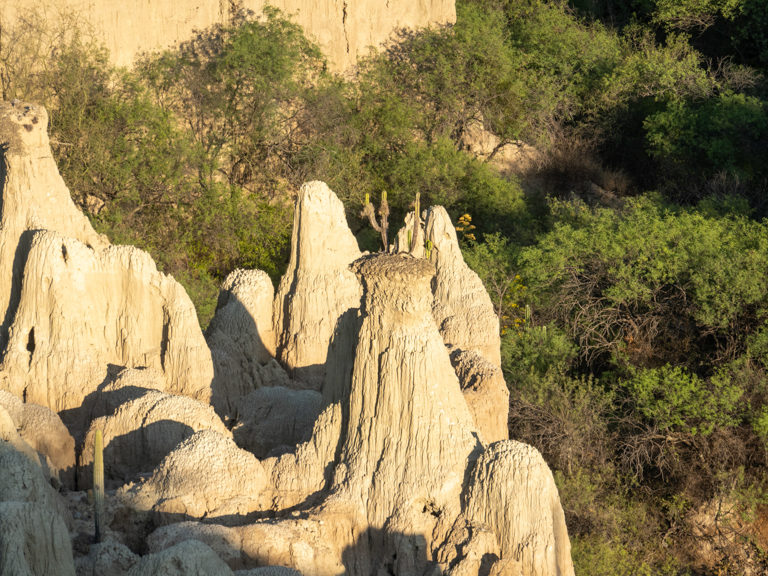 Hoodoos in einem Canyon bei Zapotitlán