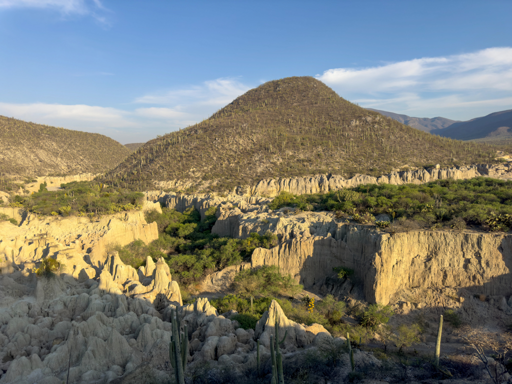 Kakteenwald und Canyon bei Zapotitlán