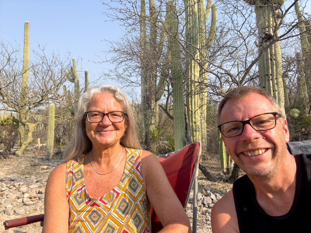 Campieren im Kakteenwald beim Jardín Botánico Helia Bravo Hollis