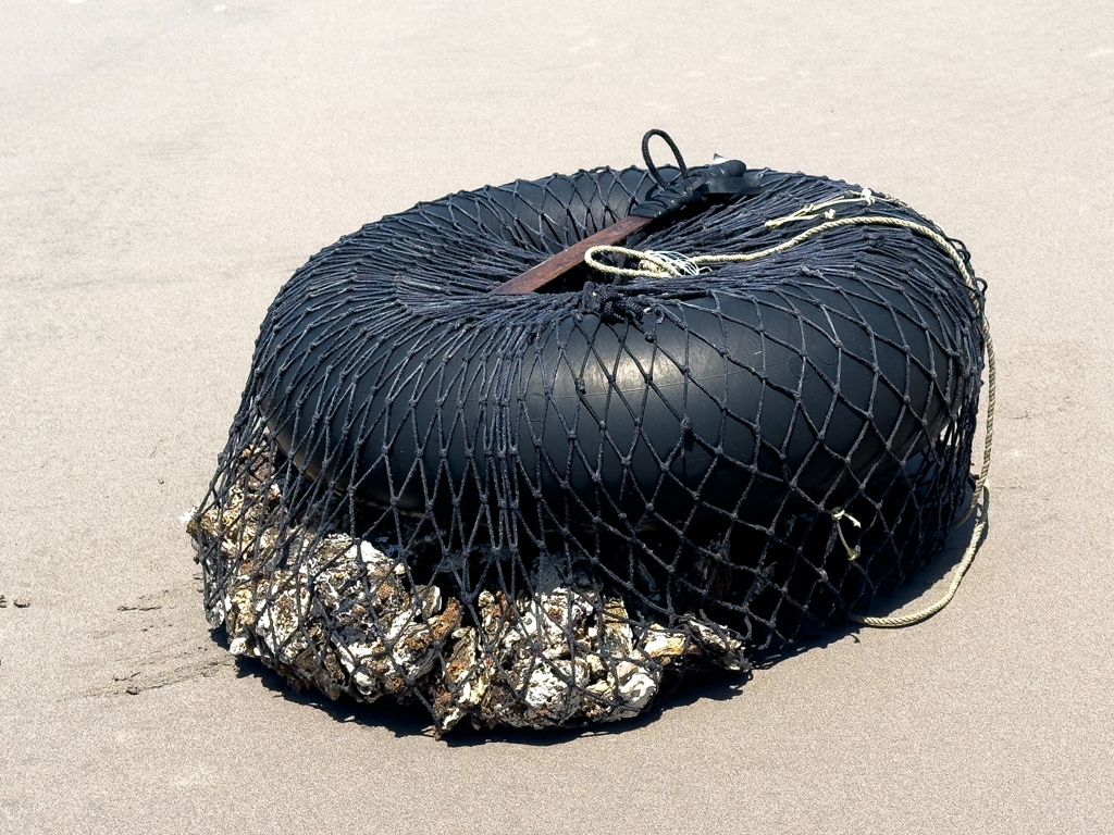 Die Ausbeute zweier Austernfischer. Schwimmreifen mit Beutenetz und Abbrech Werkzeug der Muscheln