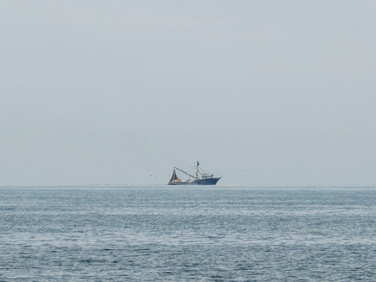Die Fischerboote ziehen ihre grossen Netze ein