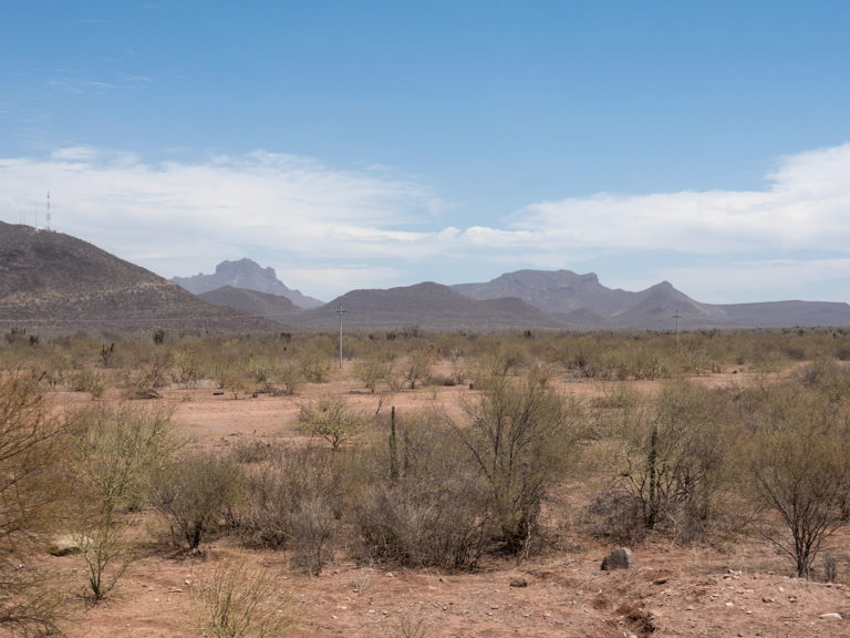 Wüste in Sonora