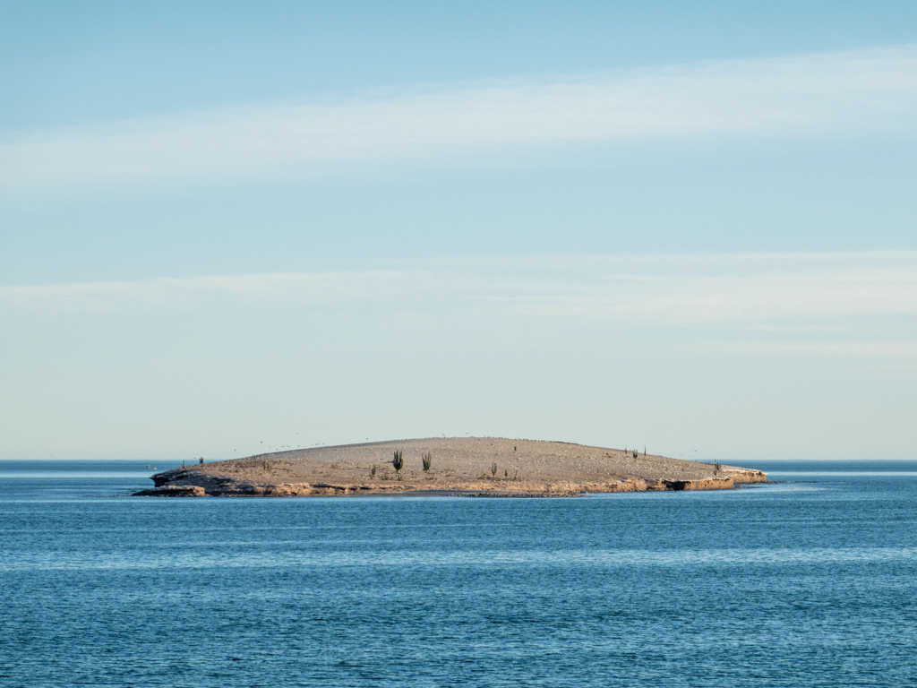 Karge Insel in der Bucht vor San Carlos