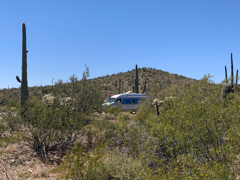 Martha im Campground des Organ Pipe Cactus National Monuments