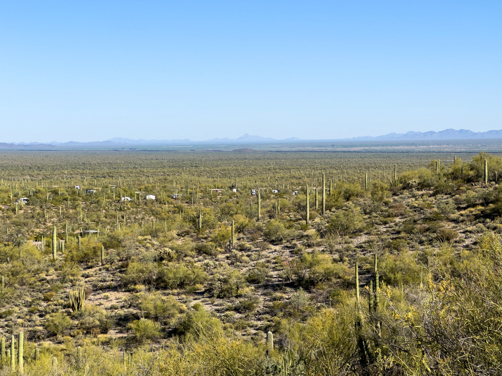 Campingplatz im Organ Pipe Cactus National Monument, nahe an der mexikanischen Grenze (Im Hintergrund die Grenzmauer)