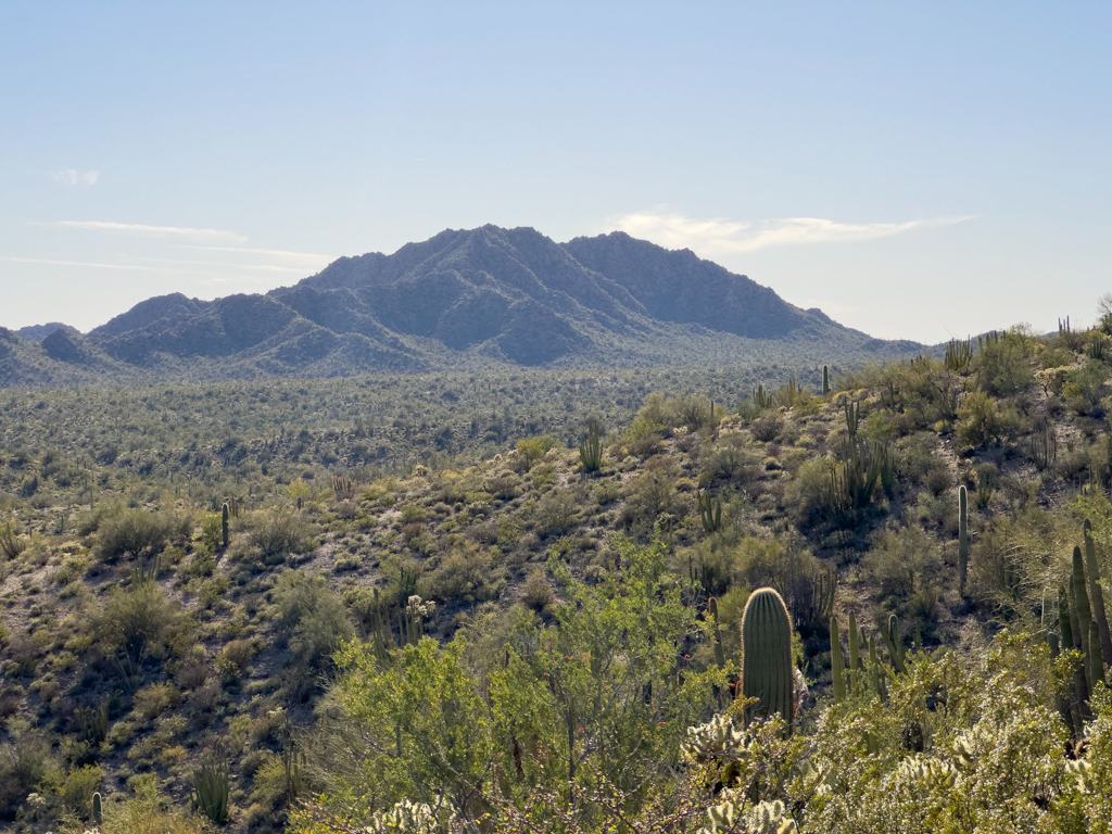 Organ Pipe Cactus National Monument, Arizona