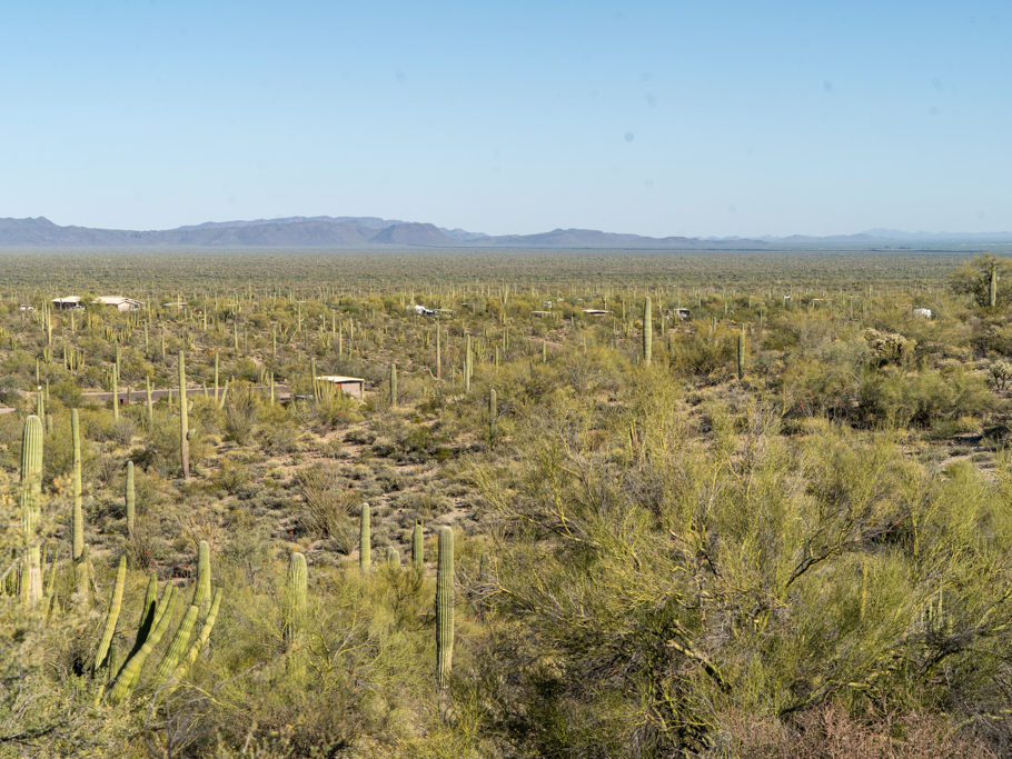 Campingplatz im Organ Pipe Cactus National Monument, nahe an der mexikanischen Grenze