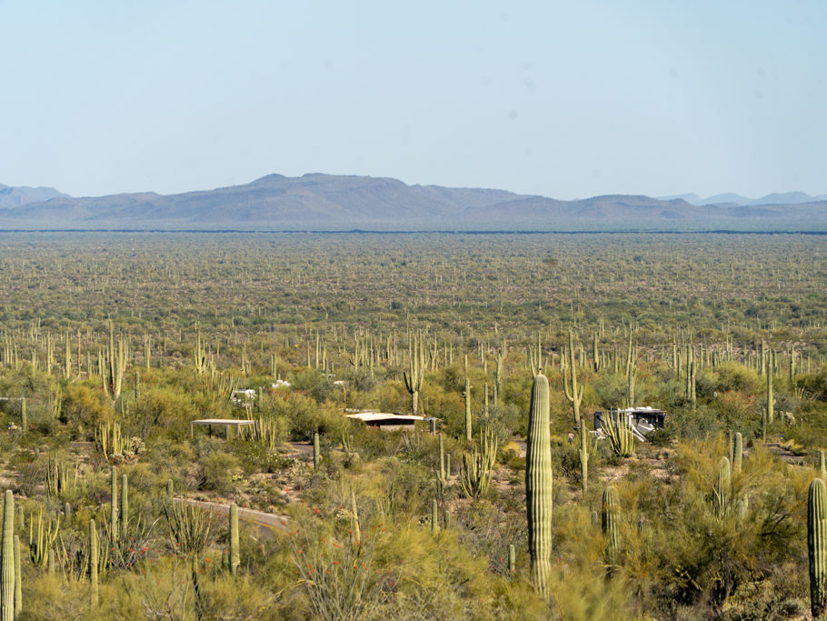 Campingplatz im Organ Pipe Cactus National Monument, nahe an der mexikanischen Grenze (Im Hintergrund die Grenzmauer)