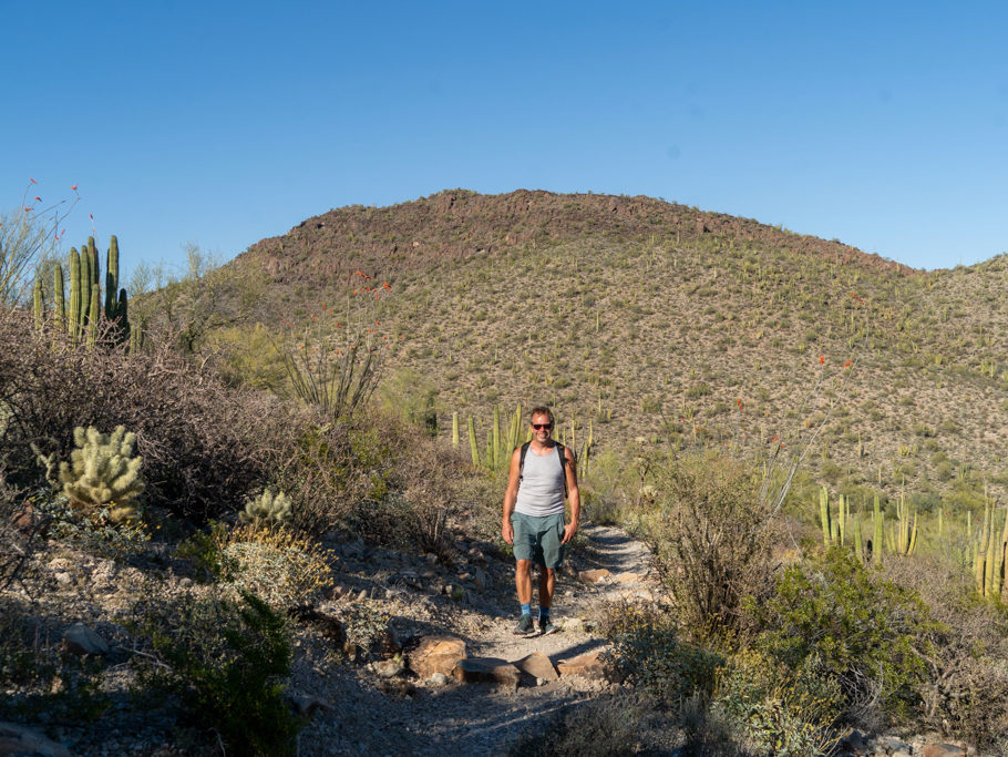 Jo auf der Abendwanderung im Organ Pipe Cactus National Monument, Arizona