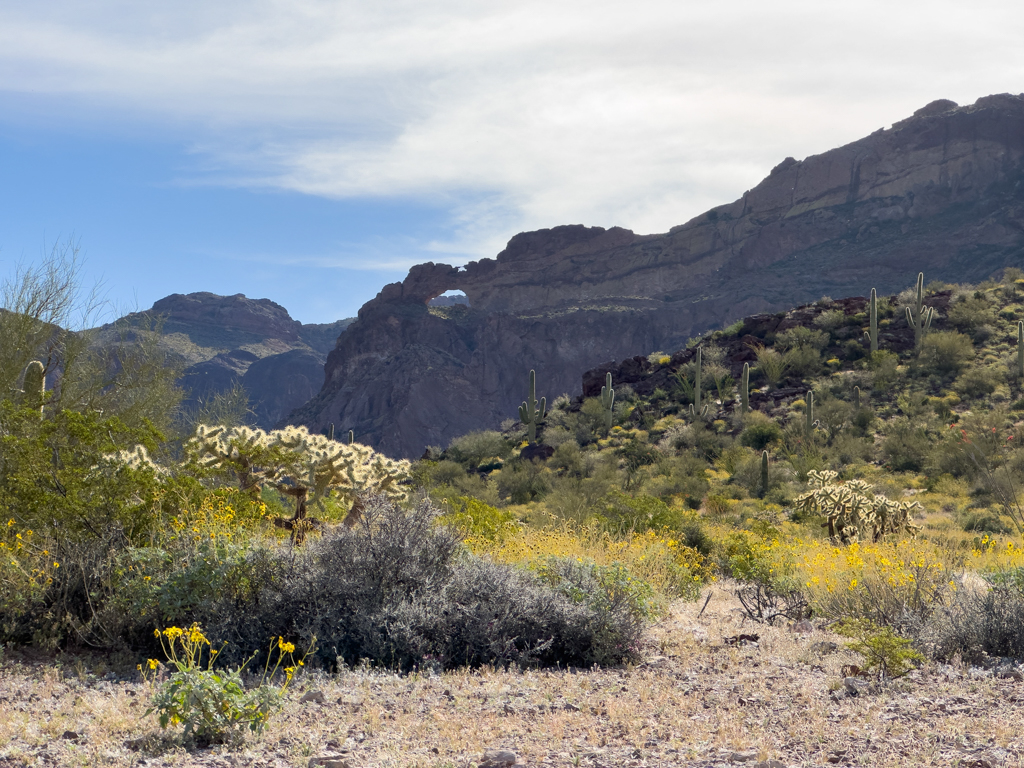 Arch Canyon, Organ Pipe Cactus National Monument, Arizona