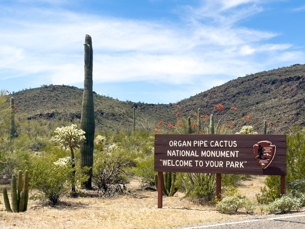 Eingang zum Organ Pipe Cactus National Monument