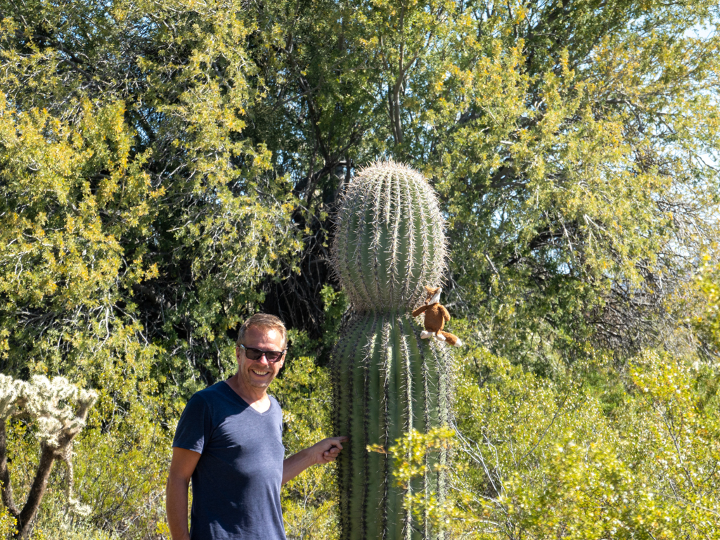 Jo und Mo im Organ Pipe Cactus National Monument, Arizona