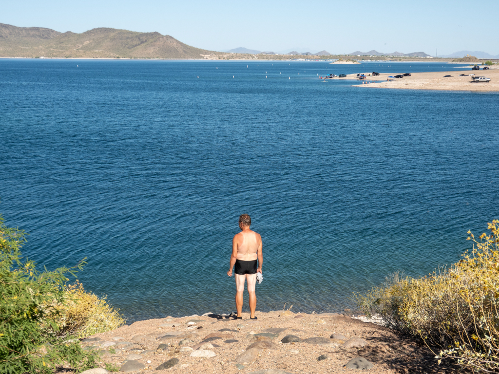 Ein Streifenhörnchen mit Hüftgold geht baden im Lake Pleasant, Arizona