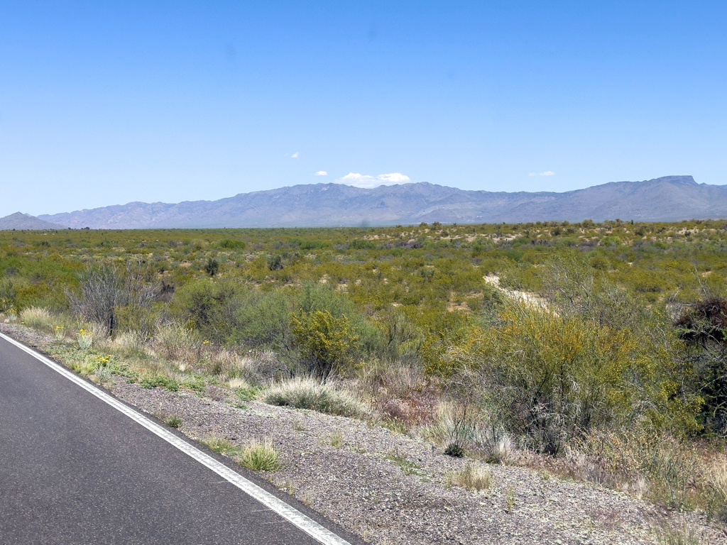 Bei Wickenburg auf dem Weg nach Prescott. Trockene, fast wüstenhafte Landschaft