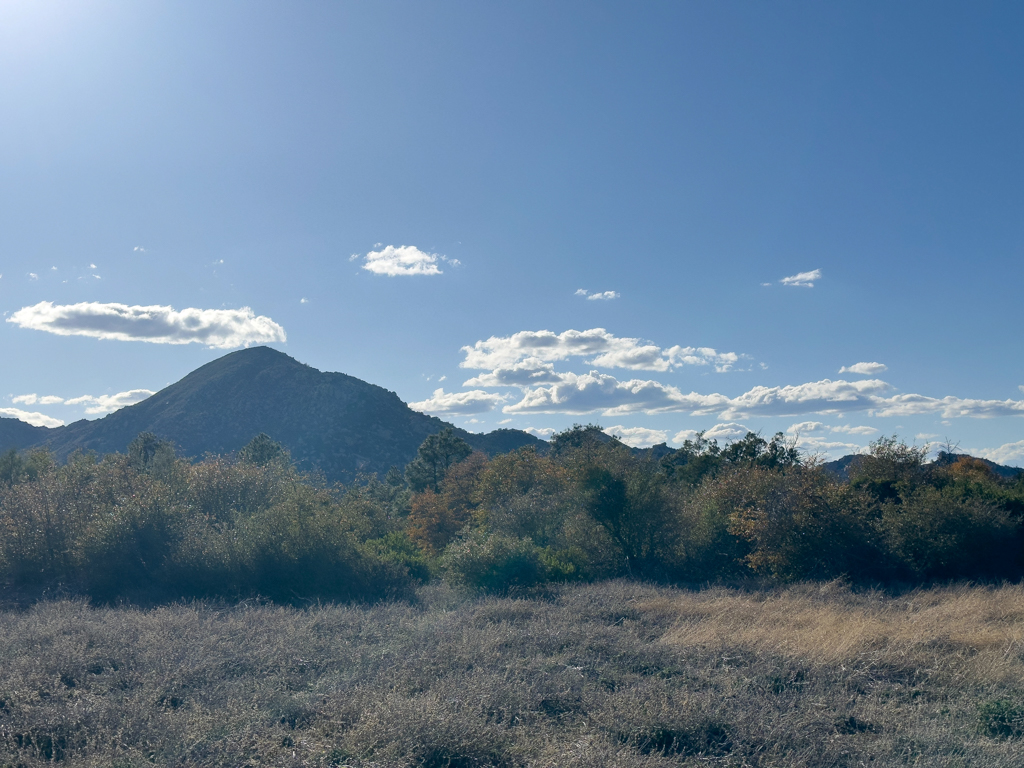 trockene Buschlandschaft. Dahinter die Berge der Granit Mountains