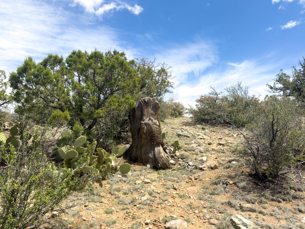 Auf dem Trail um Prescott herum