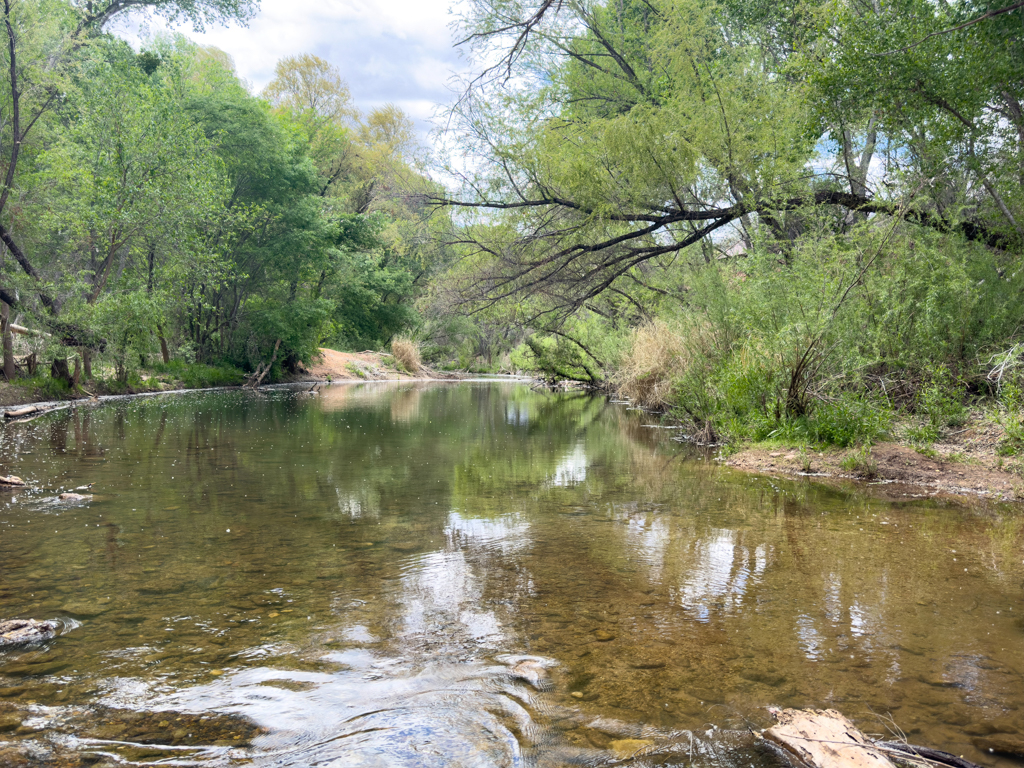 der träge dahin fliessende Verde River