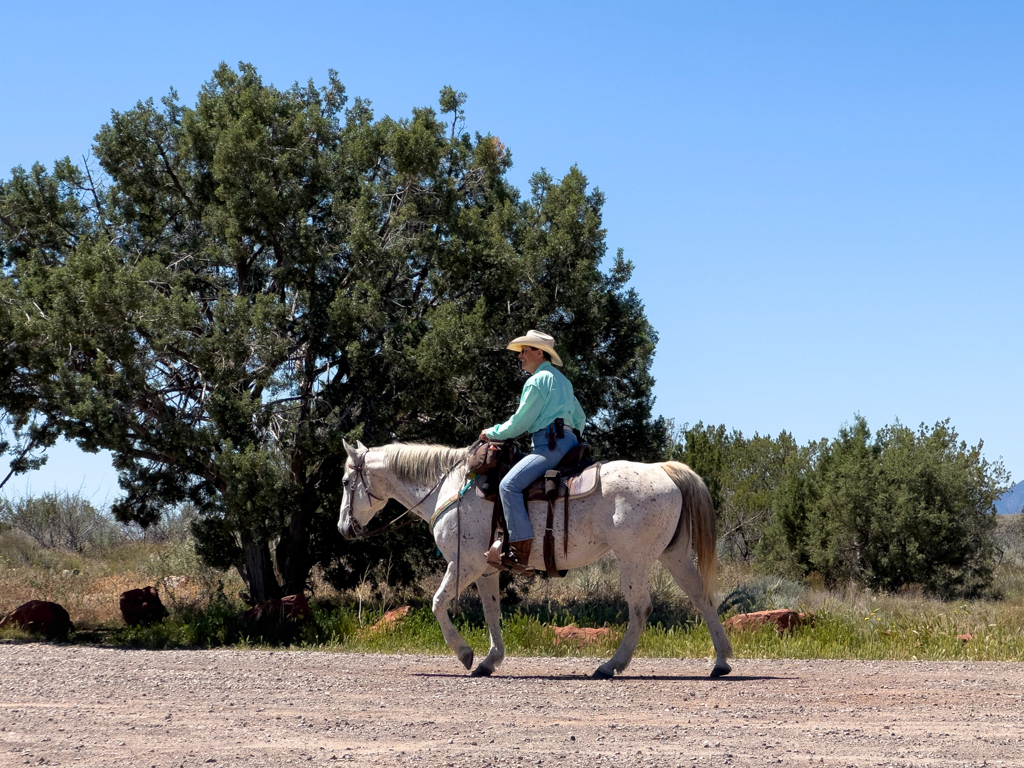 Cowgirl in voller Montur auf ihrem Schimmel in der Nähe von Sedona