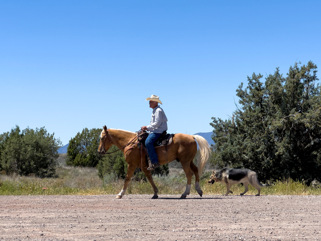 Hier der passende Cowboy mit Hund zum vorherigen Cowgirl