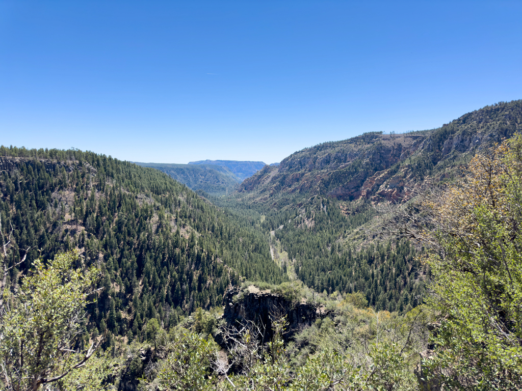 Grünes, altes CanyonTal bei Sedona