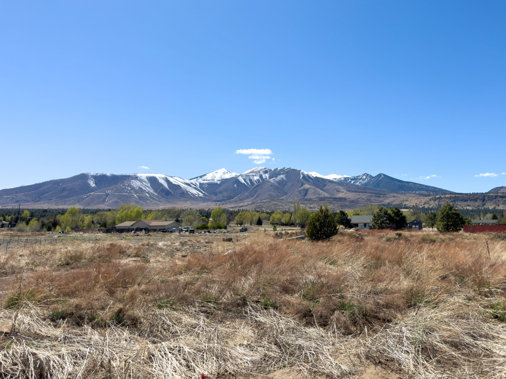 Die weissen Bergspitzen kündigen Flagstaff die Stadt von weitem an