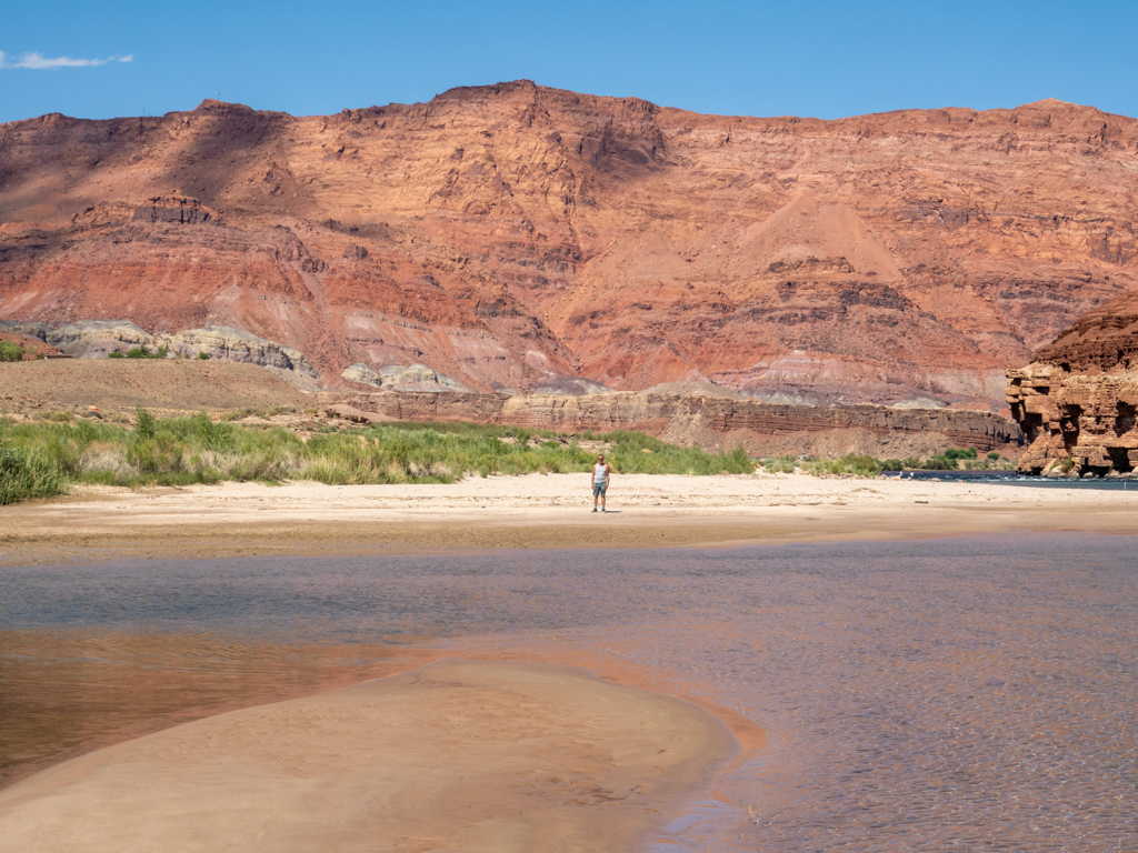 Der kleine Jo steht etwas einsam und verlassen an der beach vom Colorado River hier bei Fees Ferry