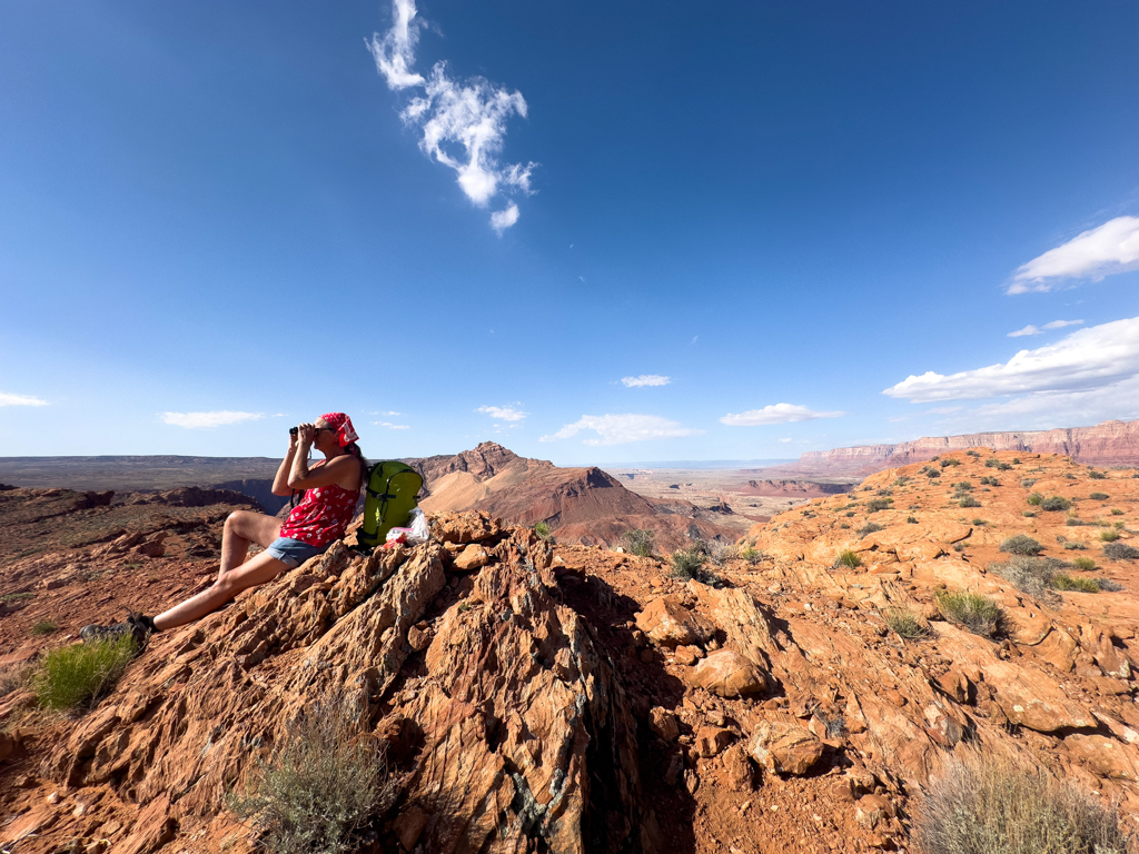 Oben am Spencer Trail angekommen hat Ma Sicht bis ins Monument Valley. Rechts im Hintergrund der Glen Canyon...