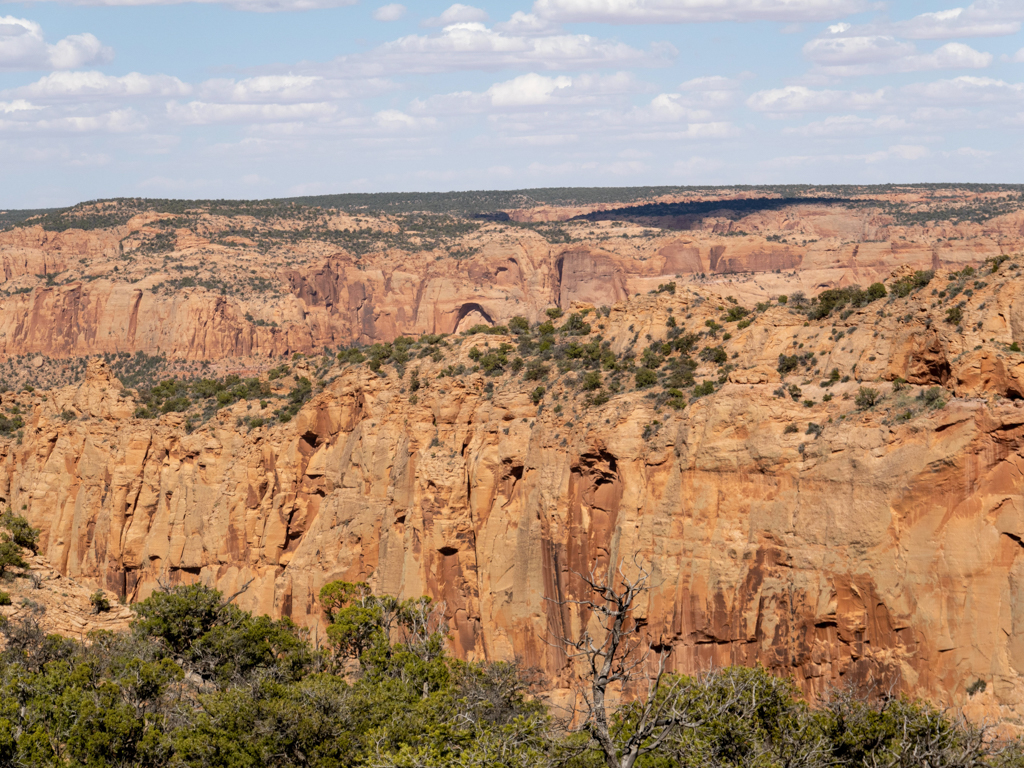 der beeindruckende Canyonrand bei den Natural Bridges