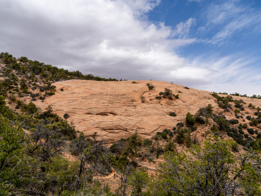 Immer wieder durchbrechen grosse Felsen das Grün der Bäume hier bei den natural bridges
