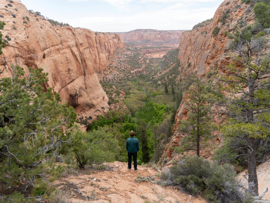 Jo bestaunt das enge Tal des Canyons