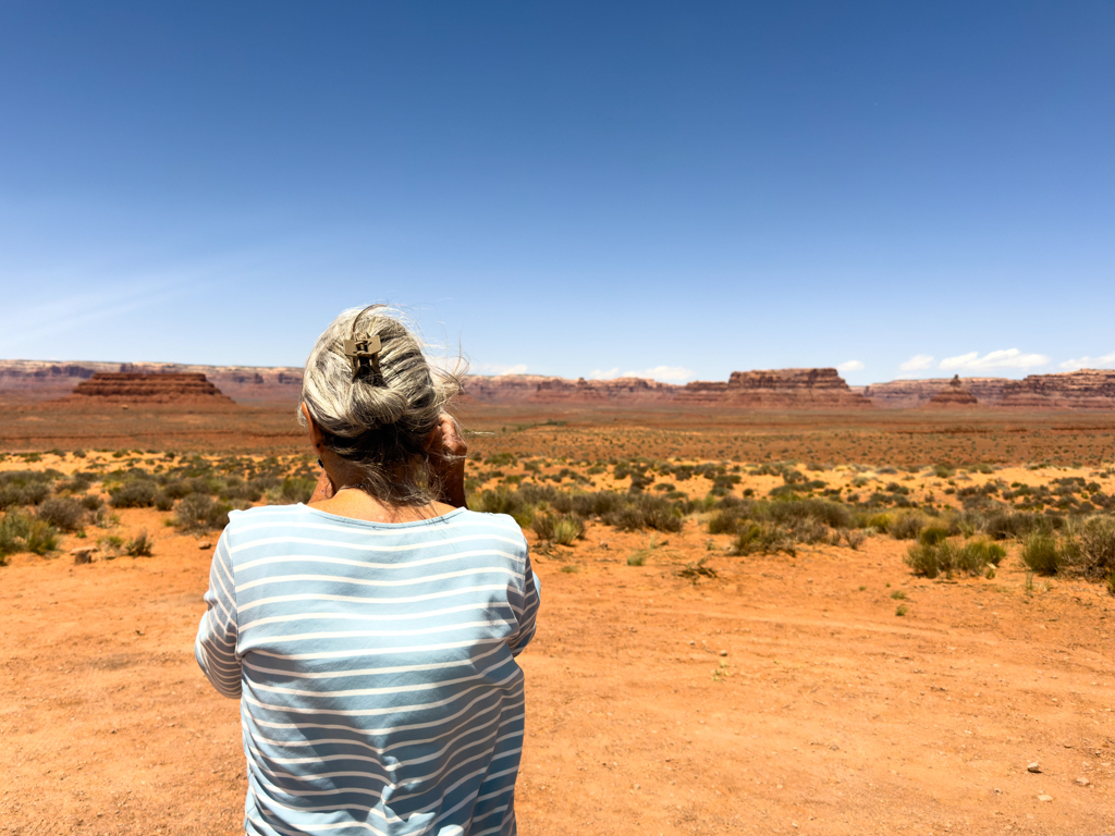 Wir sind im Valley of the Goods unterwegs Auch genannt das kleine Monument Valley
