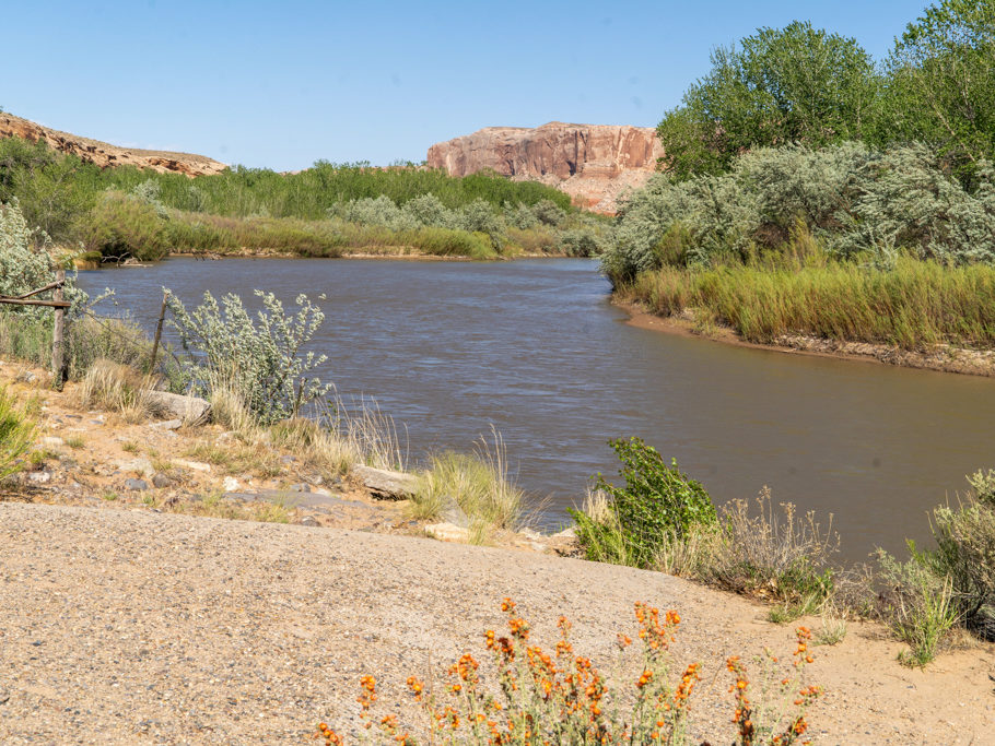 Der träge dahin fliessende San Juan River an der Sand Island vorbei