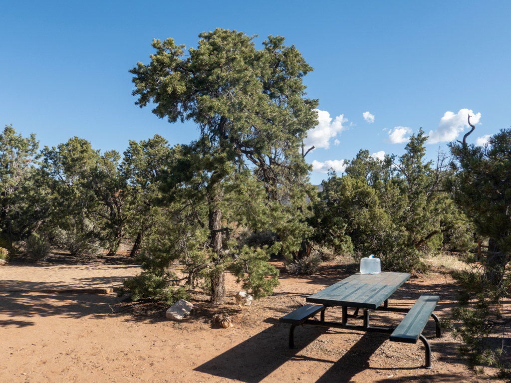 Natural Bridges Campground. Inmitten wilder Wacholderbäume