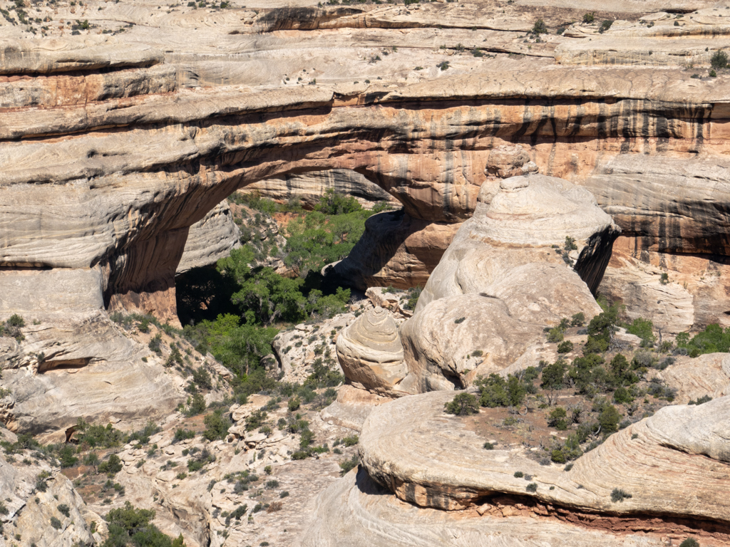 Die mächtige Kachina Bridge. Eine der drei natural bridges.