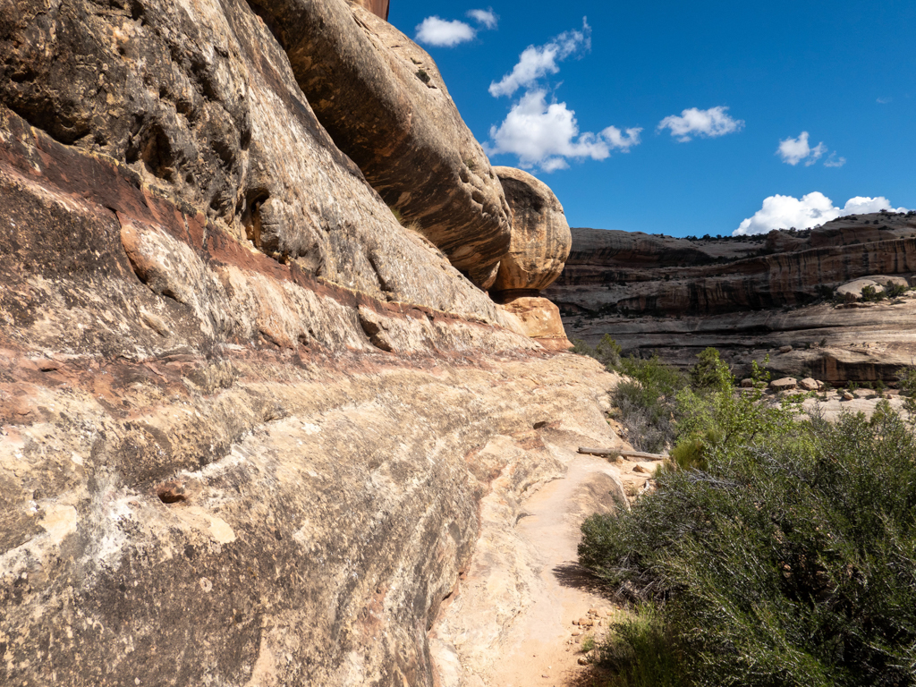 Eine glatt geschliffene Wand am oberen Canyon Rand
