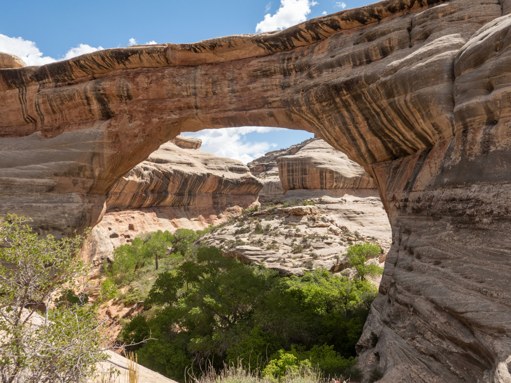 Von der Rückseite gesehen. Die mächtige Kachina Bridge gibt ein Blick hindurch zum Himmel frei.